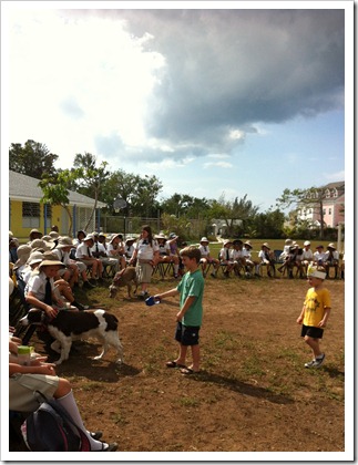 IMG_0437 IMG_0437