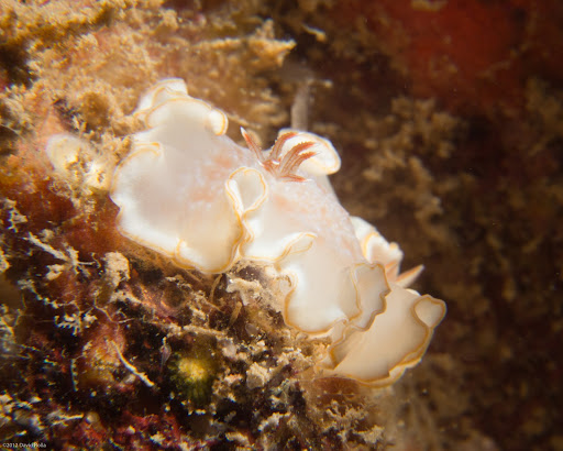 P9156106