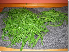 IMG_2540 IMG_2540