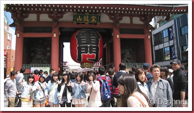 IMG_4015 IMG_4015
