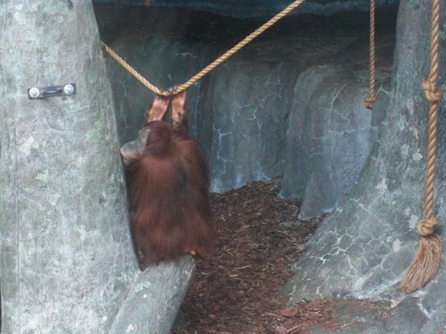 [baby01%255B2%255D.jpg]