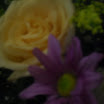 OgAAAH-Ehc5yaleayf79AHrg4vMoDRB_QmeBsddb-XR62_FiiILv9iMPpQ3iQbwL6sDN7WOLu-UiCHzmhhrWHtFq4h8Am1T1UHRcV6svF9Y48XDHIYLixid7NSNL.jpg