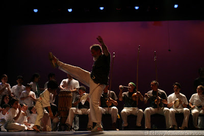 Mestre Acordeon
