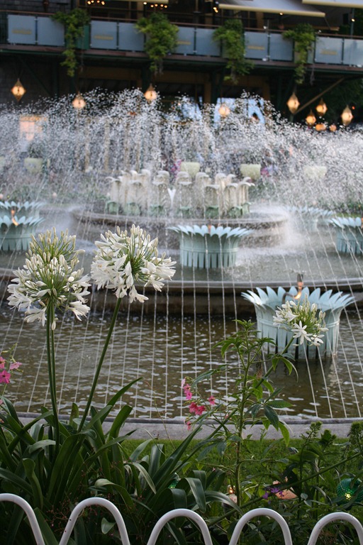 [IMG_7551%255B4%255D.jpg]