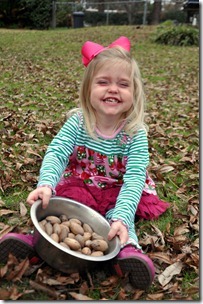 feeding gus pecans 122011 (2) feeding gus pecans 122011 (2)