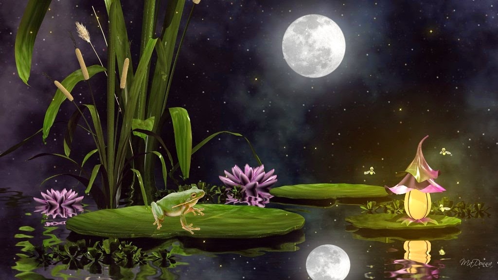 [frogs-fancy-cat-tails-fantasy-fire-fly-firefox-persona-frog-full-moon-lily-lily-pads-night-pond-reflection-sky-stars%255B3%255D.jpg]