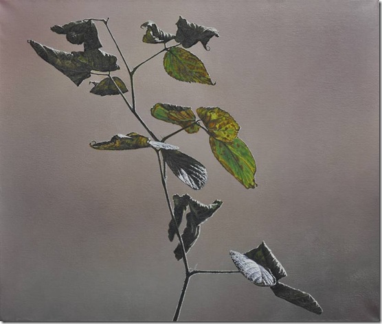 brombeer brombeer