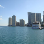  in Miami, Florida, United States