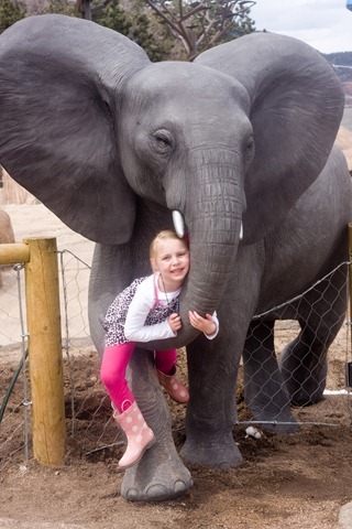 03 28 13_soph elephant 2