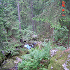 DSC02494.JPG