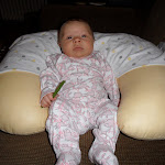 SAM_0474.JPG
