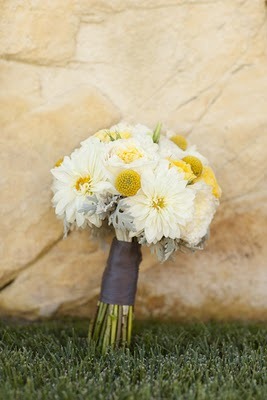 [0102_j0559_veague_1458-april-flowers.jpg]