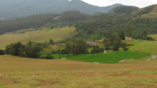 Palankhet Photo