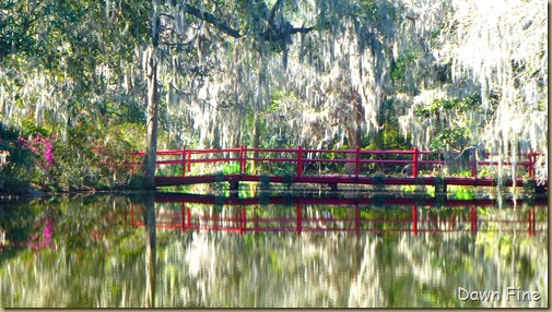 Magnolia Plantation_051