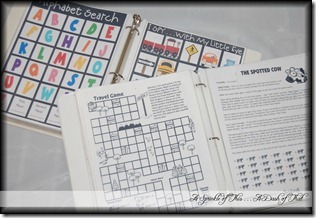 [Travel-Activity-Binders-A-Sprinkle-o.jpg]
