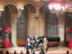 Vienna Brahms Trio - Palais Ferstl, Vienna