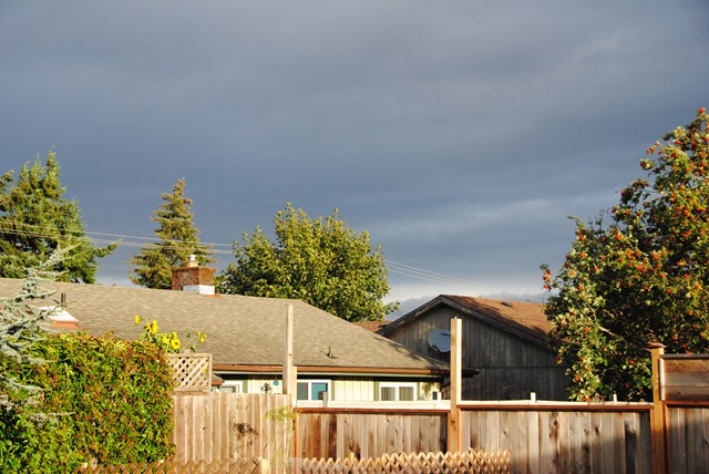 [DSC_0201%255B4%255D.jpg]