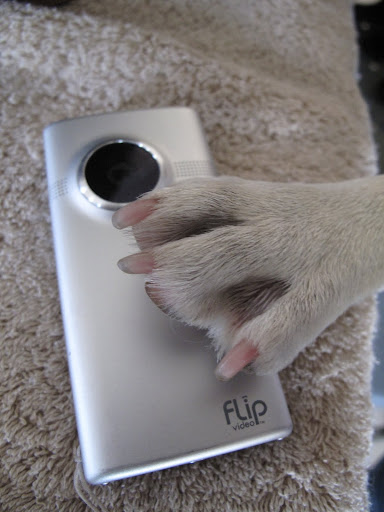 She also likes to take a Flip video camera to capture some great moments.  It's so easy to use.