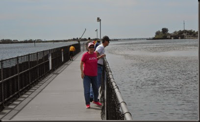 Chris and Mel looking for manatees on the tidal walkway in the Tampa Electric Manatee Viewing Area