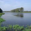 dsc05127.jpg