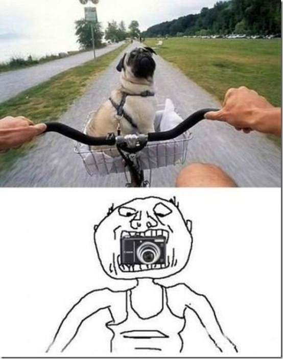 viral-picdump-pics-52a78f