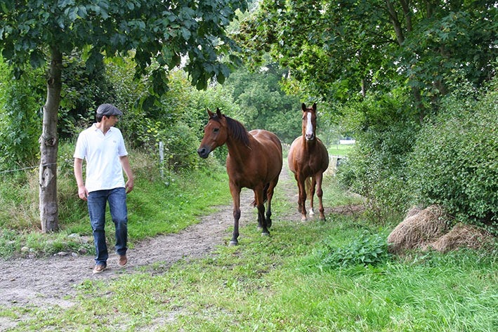 [IMG_5525%255B2%255D.jpg]