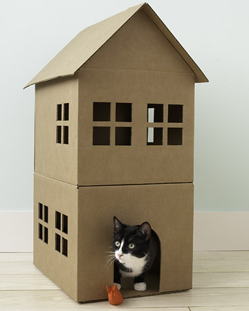 With their masterful imaginations, cats always seem to find magic in a simple cardboard box! This DIY kitty playhouse will provide the setting from many a game of hide and seek. With their masterful imaginations, cats always seem to find magic in a simple cardboard box! This DIY kitty playhouse will provide the setting from many a game of hide and seek.
