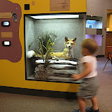 IMG_1812.JPG