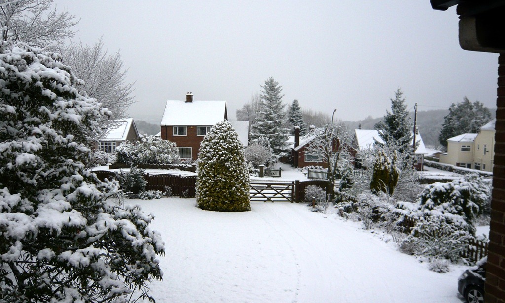 [snow%255B3%255D.jpg]