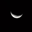 IMG_1150.jpg