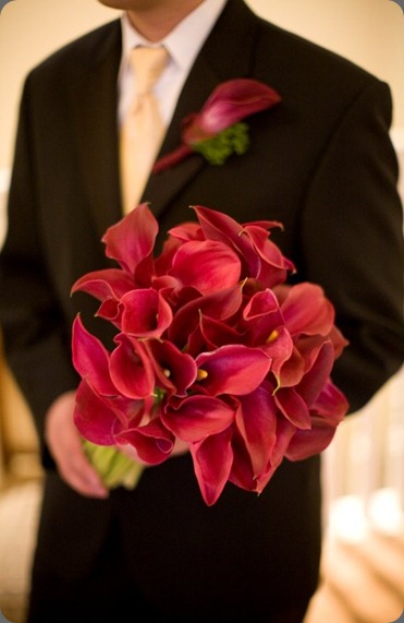 blog4  flora nova seattle