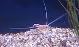 2011-11-07 11.20.57.jpg
