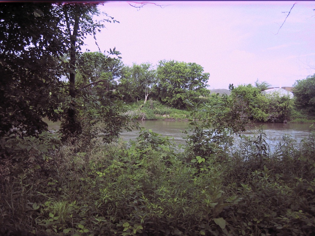 [IMG_2398%255B5%255D.jpg]