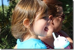 IMG_6594 IMG_6594