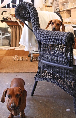 [victorianchairmertzes%255B11%255D.jpg]
