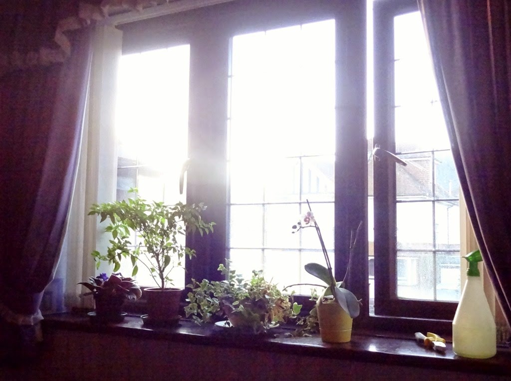 [DSC01083%2520%25281300x970%2529%255B4%255D.jpg]