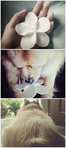 [PhotoGrid_1371901837270%255B9%255D.jpg]