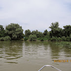 IMG_5223.JPG