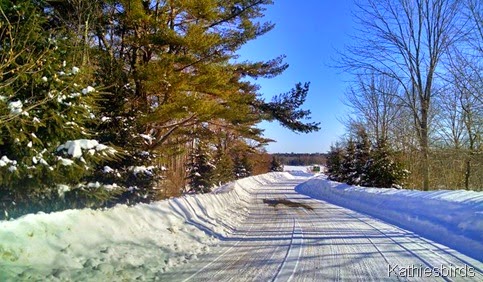 8. road to the boat launch 2-13-15