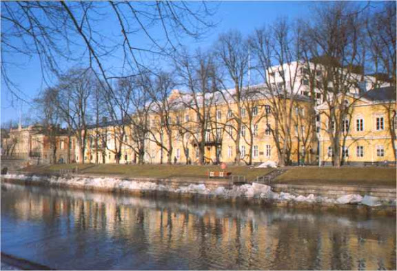 River bank in spring