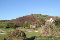 IMG_6069.JPG Photo