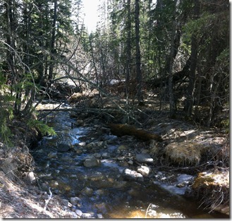 Cartier Creek Apr2012