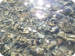 Reflejos Reflejos