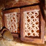 1481-13.JPG