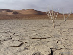 Death Vlei