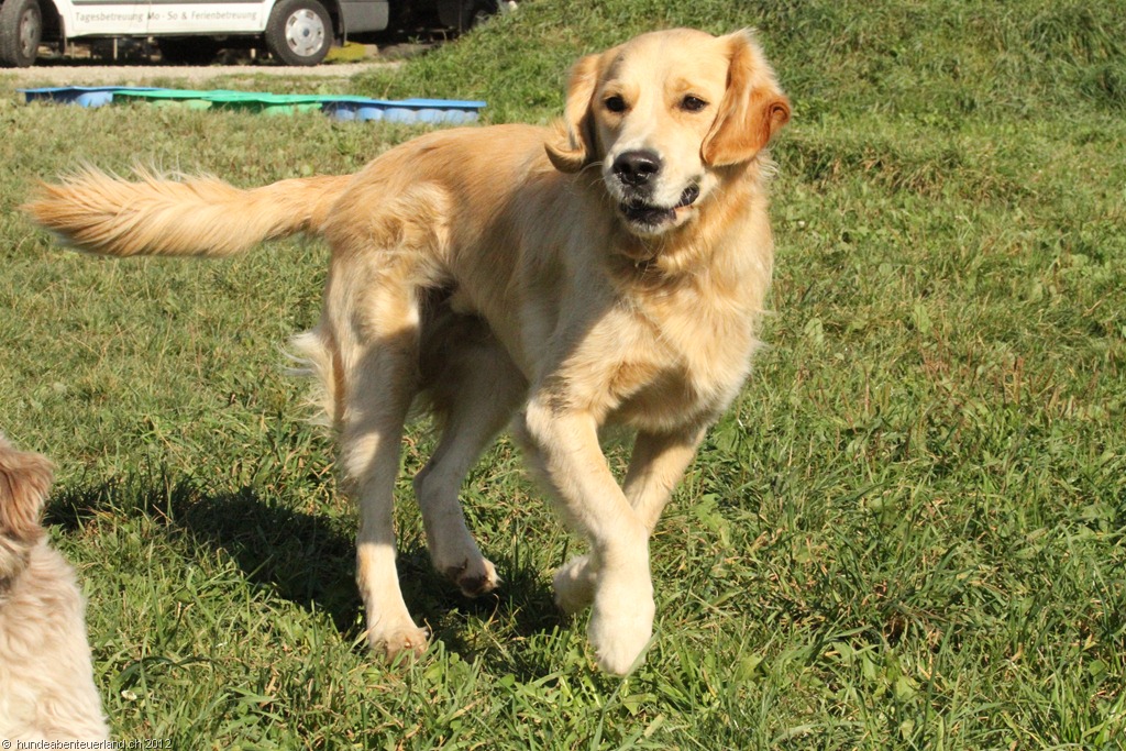 [IMG_0026%255B3%255D.jpg]