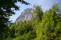 IMG_0110.JPG Photo