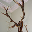 SAM_0437.JPG