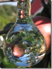 bloggebilder 053
