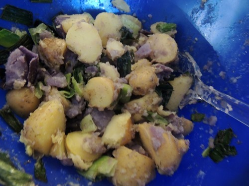 DSCN5644 DSCN5644